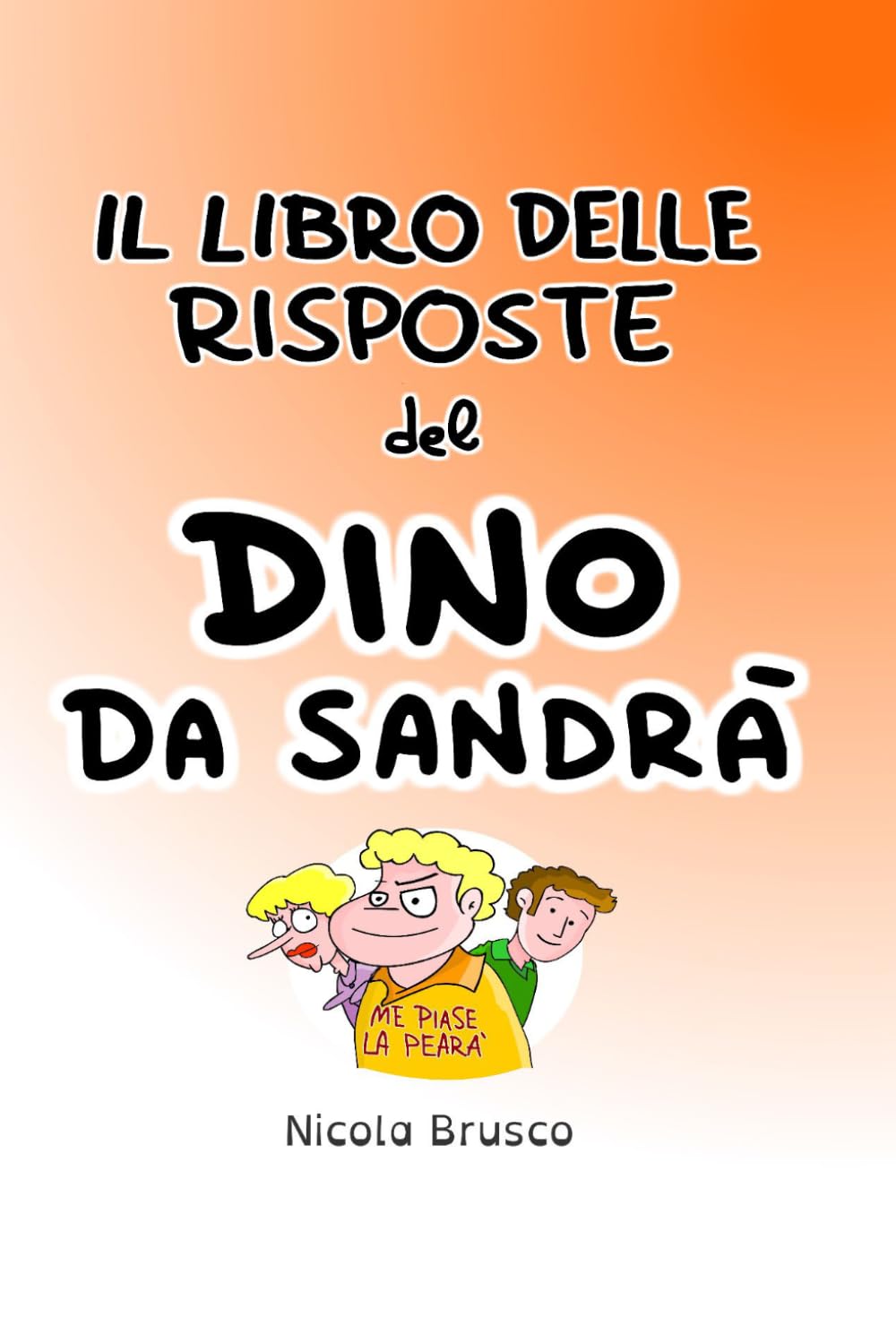Copertina del libro delle risposte di Dino da Sandrà di Nicola Brusco