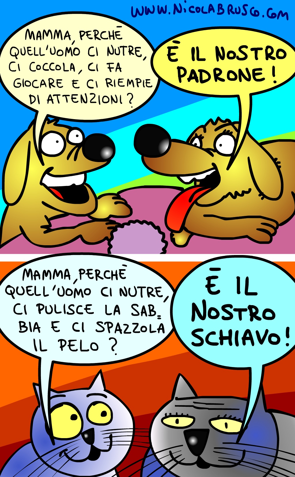 L'Amore per gli ANIMALI - Pagina 3 Canigatti