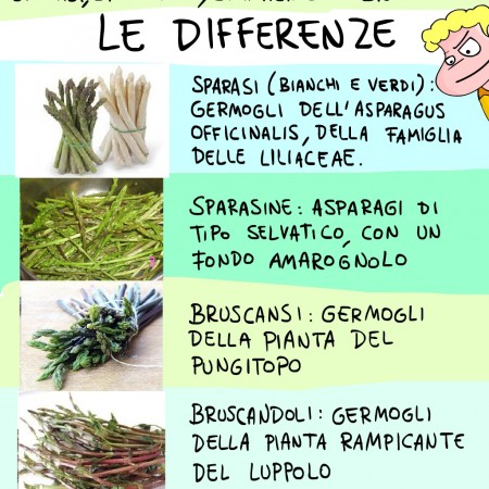 La differenza tra Asparagi, Sparasine, Bruscansi e Bruscandoli