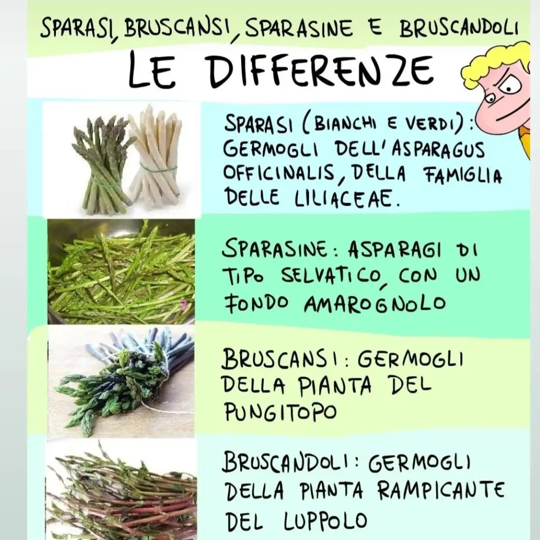 Sparasi (asparagi coltivati)